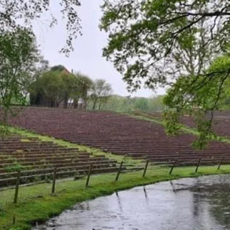 Schwarzes Ross Hotel Siebenlehn