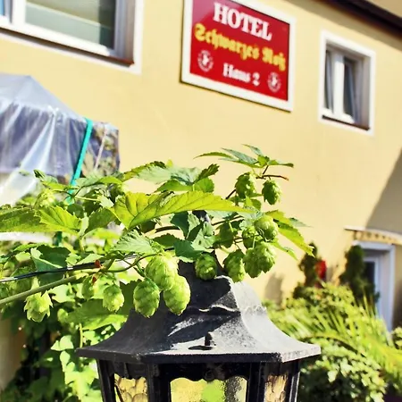 Schwarzes Ross 3*
