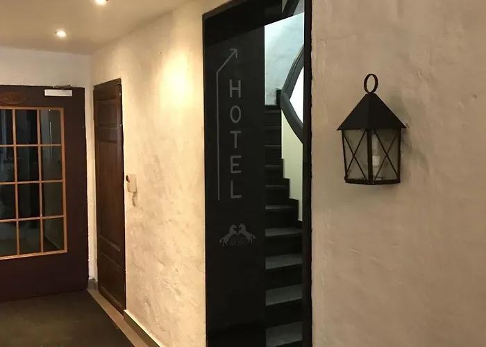 Hotel Schwarzes Ross 3*