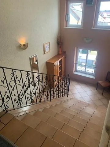 فندق Schwarzes Ross 3*