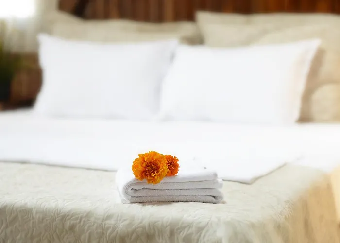 فندق Schwarzes Ross 3*